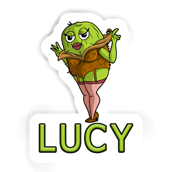 Lucy Sticker Kiwi Notebook Image