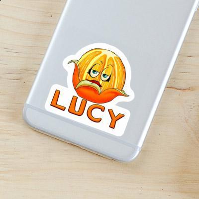 Sticker Lucy Orange Gift package Image