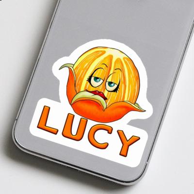 Sticker Orange Lucy Image