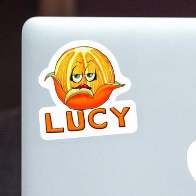 Sticker Orange Lucy Gift package Image