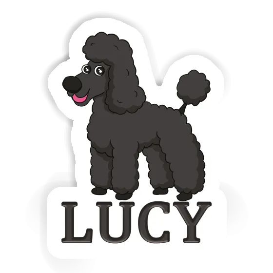 Lucy Sticker Poodle Gift package Image