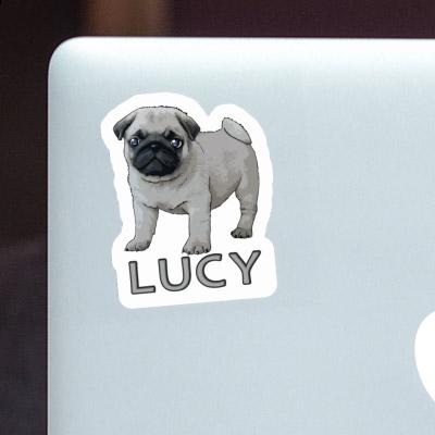 Lucy Sticker Pug Gift package Image