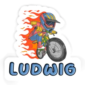 Freeride Biker Sticker Ludwig Image