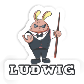 Billiards Player Sticker Ludwig Image