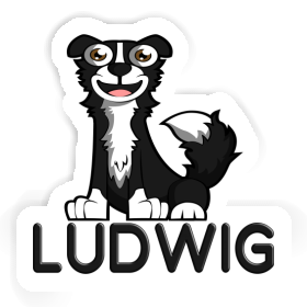 Sticker Ludwig Border Collie Image