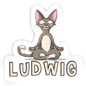 Ludwig Sticker Cat Image