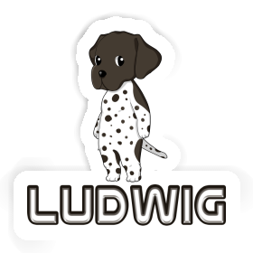 Ludwig Sticker GSP Image