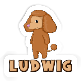 Sticker Poodle Ludwig Image