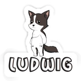 Sticker Border Collie Ludwig Image