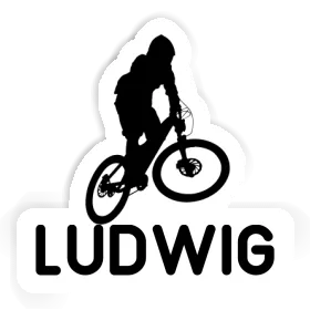 Ludwig Sticker Downhiller Image