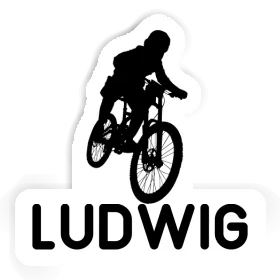 Freeride Biker Sticker Ludwig Image