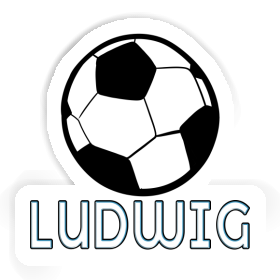 Soccer Sticker Ludwig Image