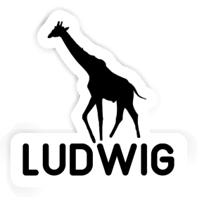 Autocollant Ludwig Girafe Image