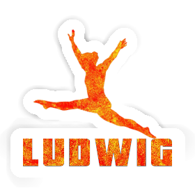 Gymnast Sticker Ludwig Image