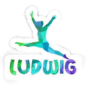 Ludwig Sticker Gymnast Image