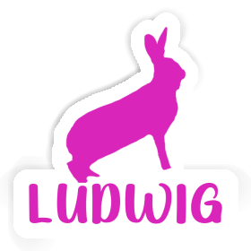 Ludwig Sticker Rabbit Image