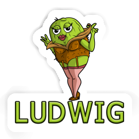 Kiwi Sticker Ludwig Image