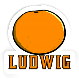 Ludwig Sticker Orange Image