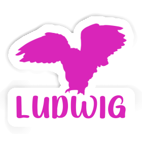 Sticker Owl Ludwig Image