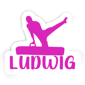 Sticker Ludwig Gymnast Image