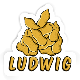 Ludwig Sticker Nut Image