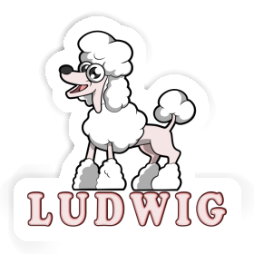 Sticker Ludwig Poodle Image