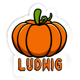 Pumpkin Sticker Ludwig Image