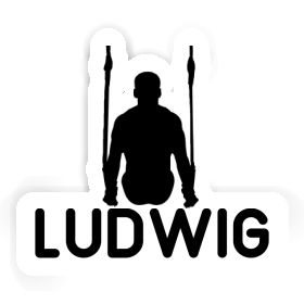 Ludwig Sticker Ring gymnast Image