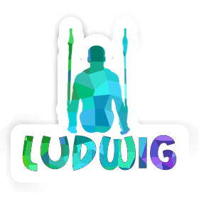 Ludwig Sticker Ring gymnast Image