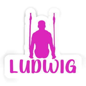 Ring gymnast Sticker Ludwig Image