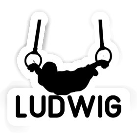 Ring gymnast Sticker Ludwig Image