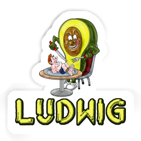 Ludwig Sticker Avocado Image