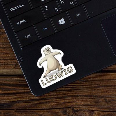 Ludwig Sticker Yoga Bear Gift package Image