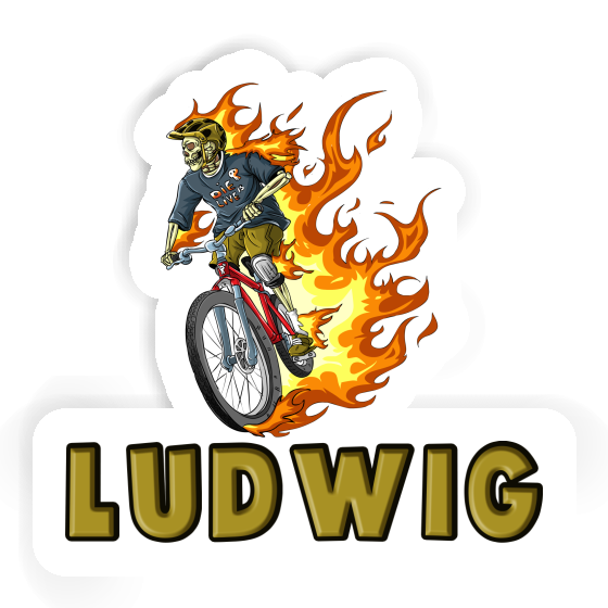 Ludwig Sticker Mountainbiker Gift package Image