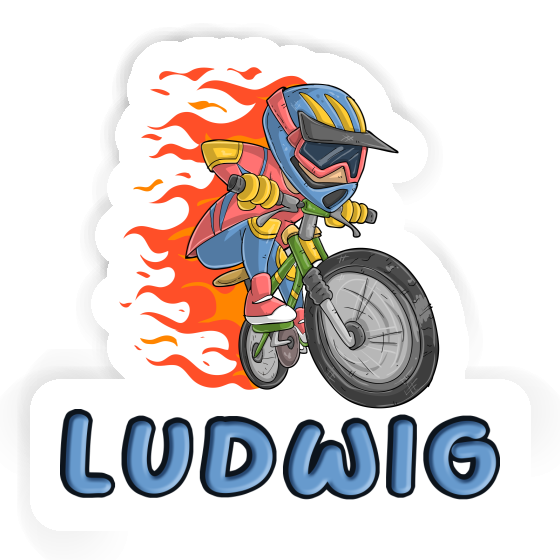 Freeride Biker Sticker Ludwig Gift package Image