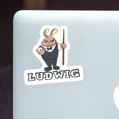 Billiards Player Sticker Ludwig Image