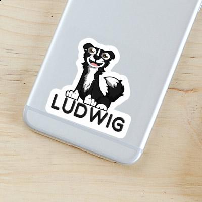 Sticker Ludwig Border Collie Gift package Image