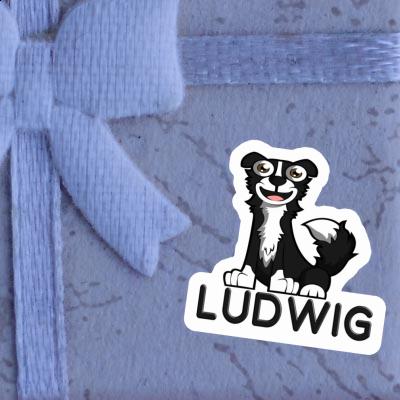 Sticker Ludwig Border Collie Image