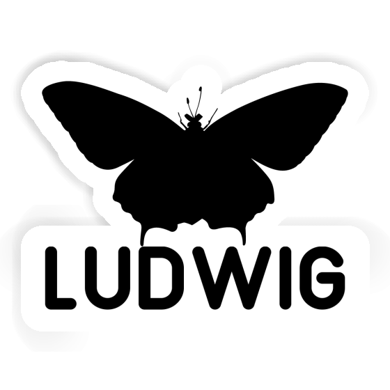 Papillon Autocollant Ludwig Gift package Image