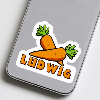 Sticker Carrot Ludwig Laptop Image