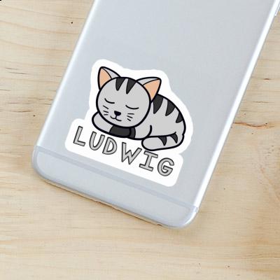 Ludwig Sticker Cat Gift package Image