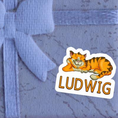 Ludwig Aufkleber Katze Gift package Image