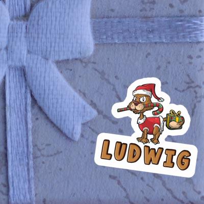 Aufkleber Ludwig Weihnachtskatze Gift package Image