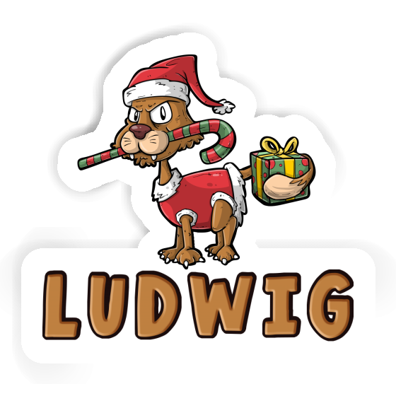 Aufkleber Ludwig Weihnachtskatze Gift package Image