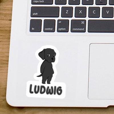 Labrador Sticker Ludwig Image