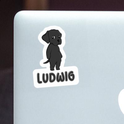 Labrador Sticker Ludwig Gift package Image