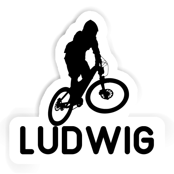 Ludwig Sticker Downhiller Gift package Image