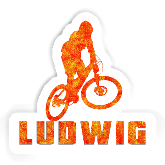 Ludwig Sticker Downhiller Image