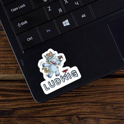 Unicorn Sticker Ludwig Gift package Image