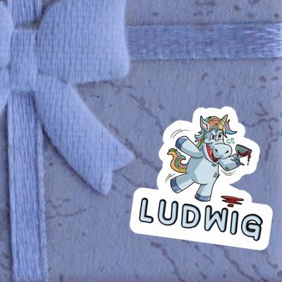 Ludwig Autocollant Licorne Gift package Image